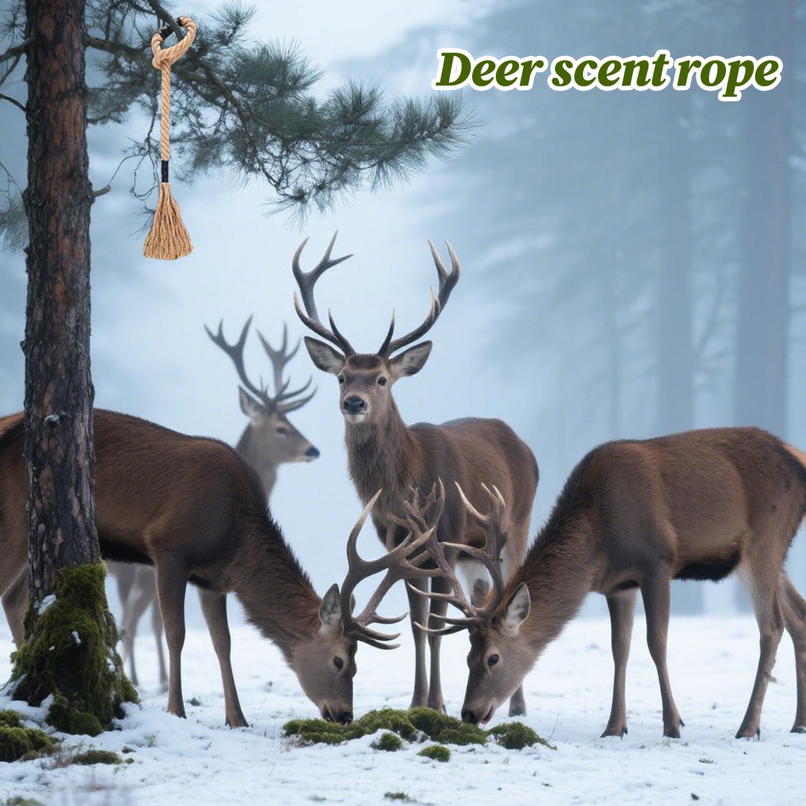 Deer Scent Rope Effective Long - Deer Attractant Scent ulasan dan harga