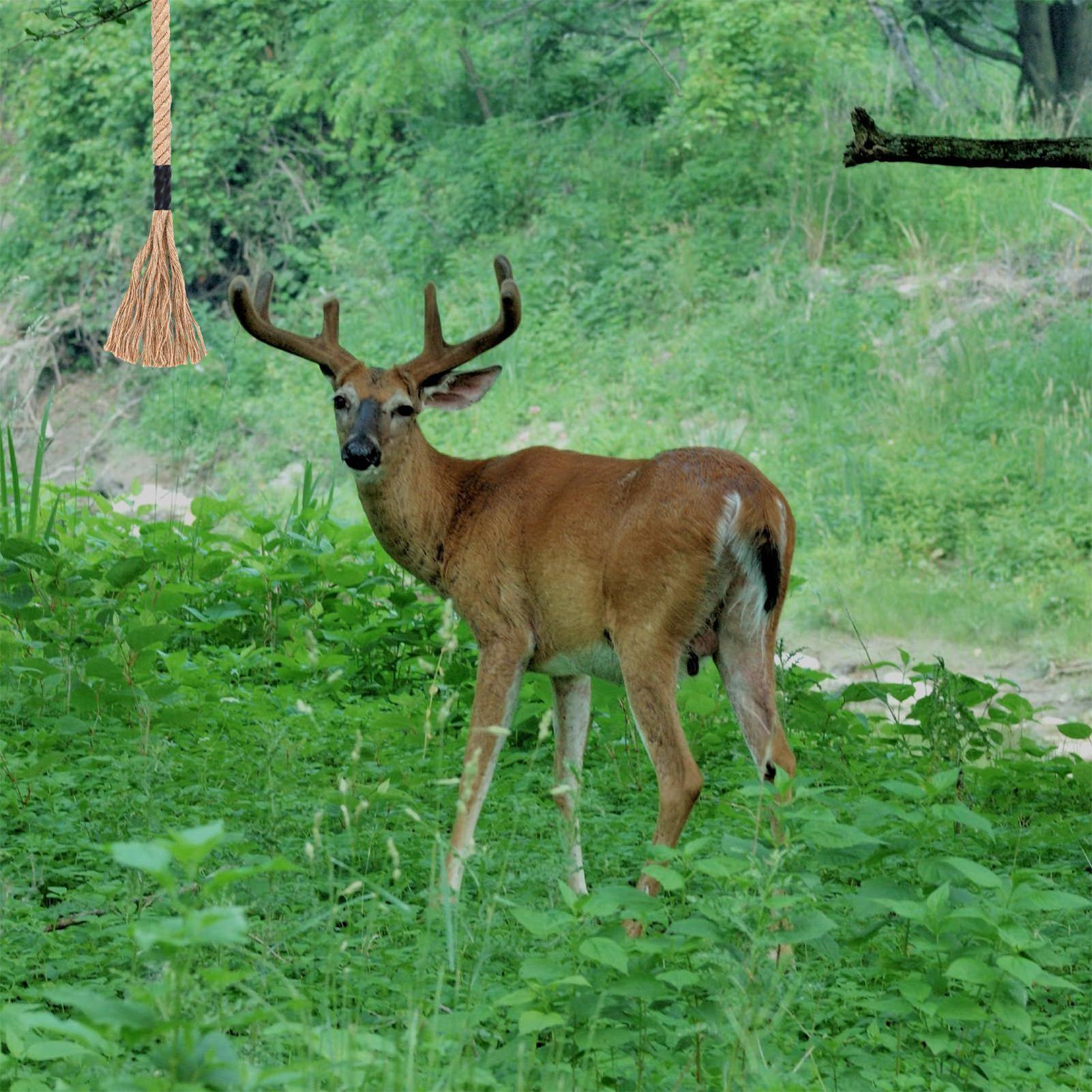 Deer Scent Rope Long-Lasting E - Deer Attractant Scent ulasan dan harga